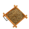 Single spices black cumin seeds popular sale